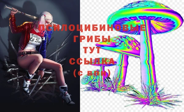 герыч Богородицк