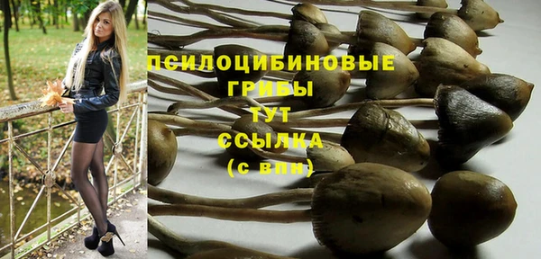 ALPHA PVP Богородск